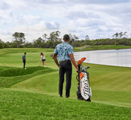 Tito's X William Murray Golf Collection