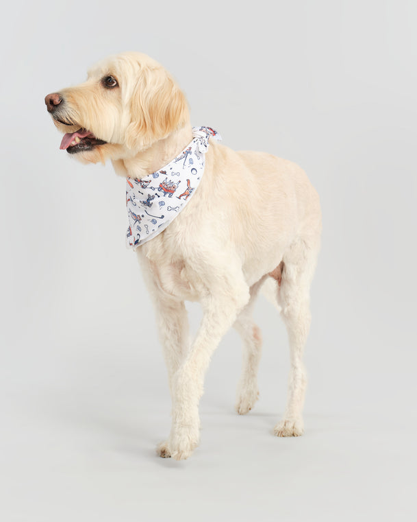 Hair Of The Dog Bandana