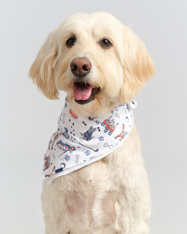 Hair Of The Dog Bandana