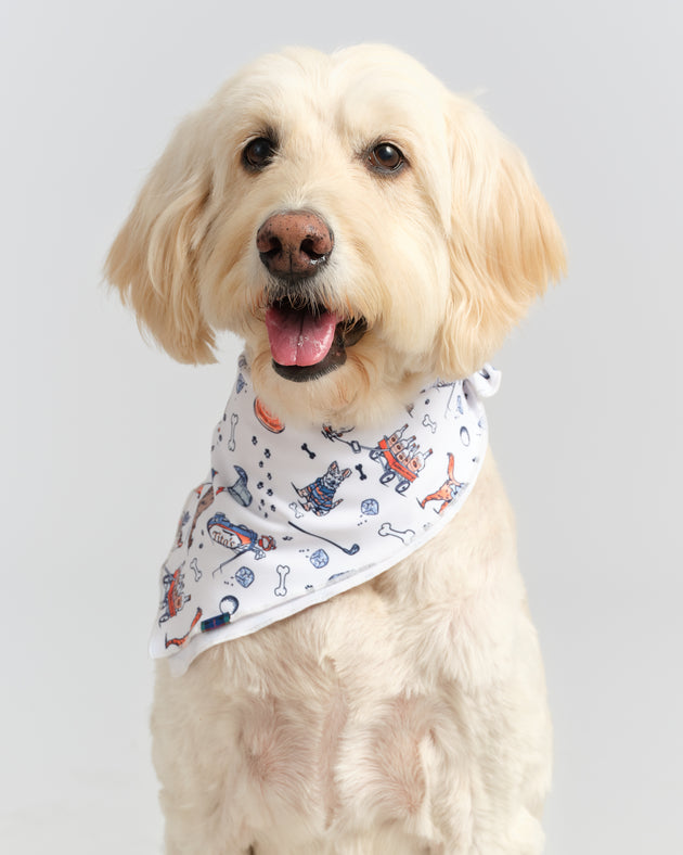 Hair Of The Dog Bandana