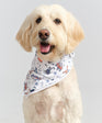 Hair Of The Dog Bandana
