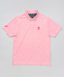 Stripe Show Men's Polo