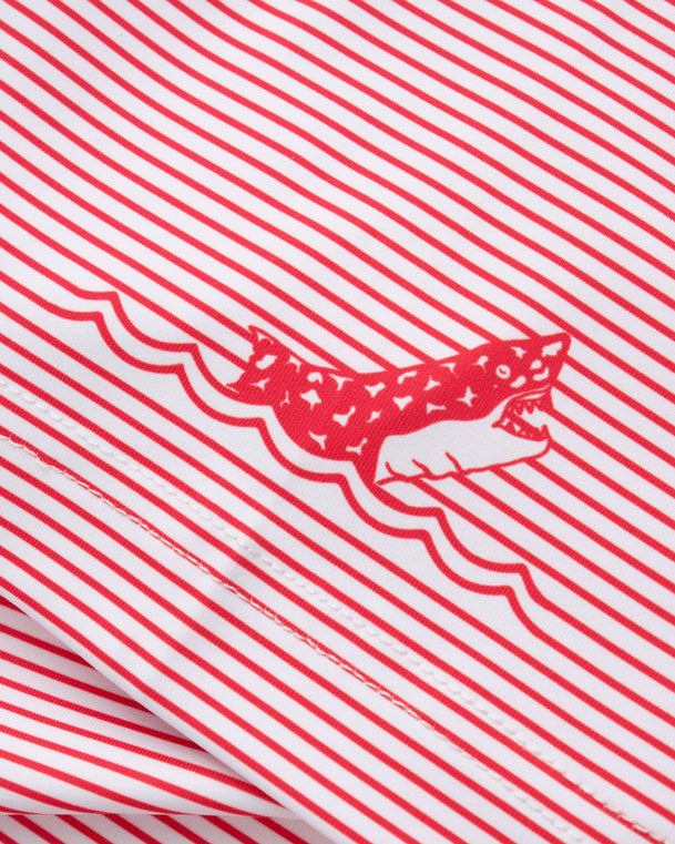 Stripe Show Men's Polo